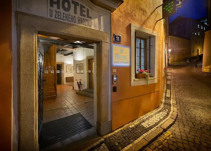 Green GrapeHotel Prag